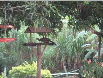 Hostal Pousada Jacutinga