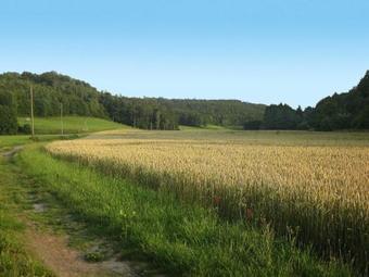 Apartment An Der Eine (sde103)