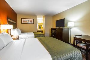 Hotel Comfort Inn Holbrook