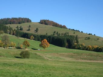 Apartment With Covered Balcony In The Black Forest Near The Feldberg