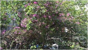 Bentleys Hotel Colaba