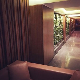 Hotel President