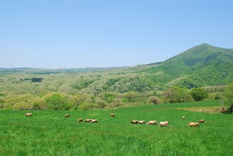 Yukai Resort Yubaraonsen Terunoyu