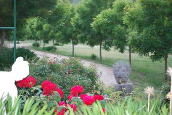 Apartamentos Battunga Bed & Breakfast