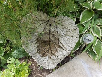 Homestead House Bed & Breakfast