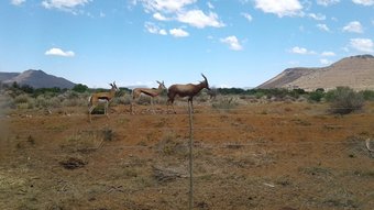 Hotel Travalia Guest Farm