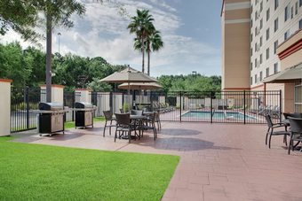 Hotel Homewood Suites By Hilton Tampa-brandon