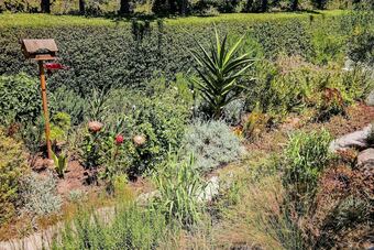 Bed & Breakfast Elgin Valley Inn