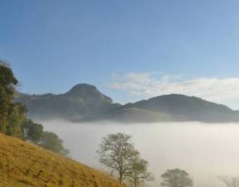 Hostal Pousada Caminho Da Mata