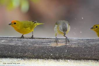 Hostal Pousada Vila Lara