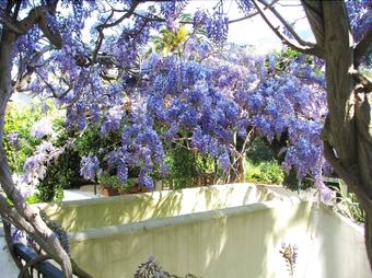 B&B La Salamandra Kitchengarden