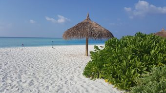 Hotel Banana Residence