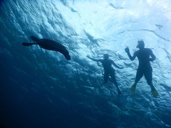 Hotel Equa Reef Maldives