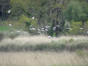 Posada La Balade Des Marais