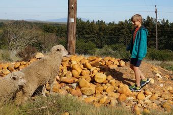Kwetu Guest Farm