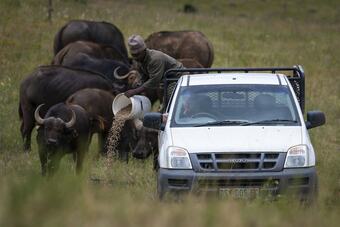 Posada Elephants Lodge - Bellevue Forest Reserve