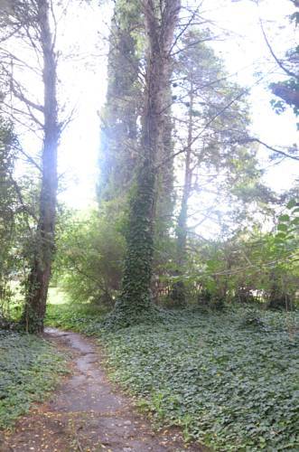 Caba�as Los Hornillos