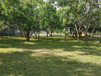 Hotel Liyya Water Villas