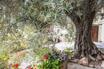 Apartamentos Vouni Lodge