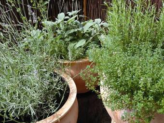 Ringhotel Johanniterbad