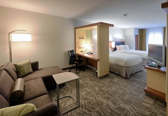 Hotel Springhill Suites By Marriott Albany-colonie