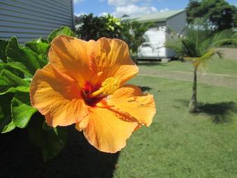Cabana Auberge De Gaulle