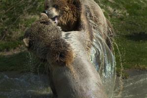 Hotel Holiday Inn Aylesbury