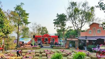 Hotel Big Joey Country Resort