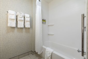 Hotel Holiday Inn Express & Suites Greenville S- Piedmont
