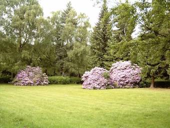 Apartamento Kombinationswohnung Bochum-linden