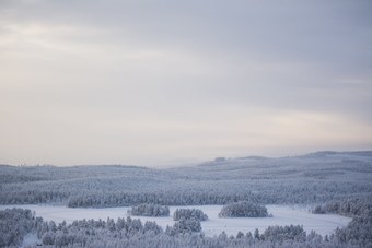 Hostal Orsa Gr�nklitt