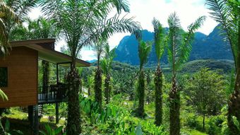 Hotel Khao Sok Horizon