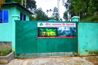 Apartamento Green Palace Tea Resort