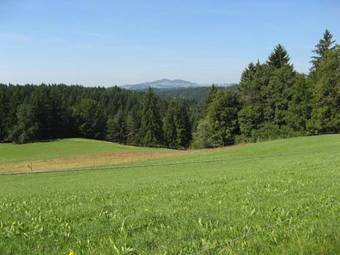 Agroturismo Charming Apartment In Steingaden Near Ski Area