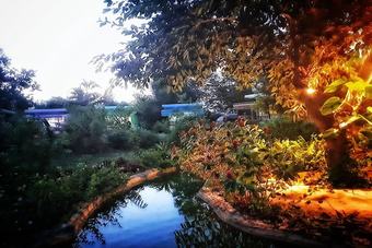 Hotel Chomnok Chommai Resort