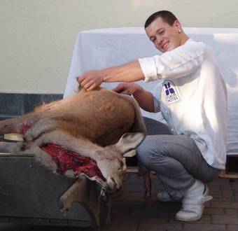 Flair Hotel Luginsland