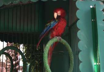 Hotel Park Villa
