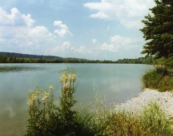 Hostal Gasthof Zum Kirchenwirt