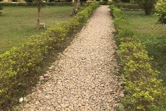 Hotel Bardia Wild Planet