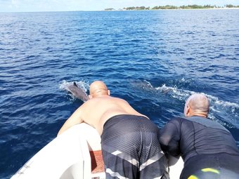 Hotel Bina Surf Camp