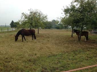 Hostal Pension H�velshof