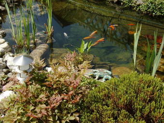 Apartamentos Arber Ferienwohnungen Friedl