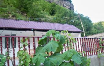 Hotel Pirosmani - Hostel