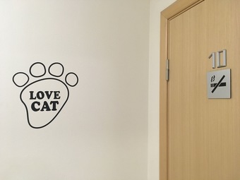 Fat Cat Hotel Domodedovo