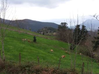 House With 3 Bedrooms In Casavieja - 18 Km From The Beach