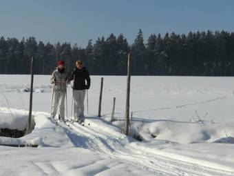 Apartamento Orgelpfeife