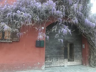 Hotel B&B Il Giardino Di Zoate