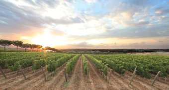 Posada Tenuta Poggio Rosso Glamping