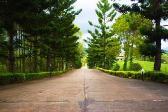 Hotel Bird Land Resort