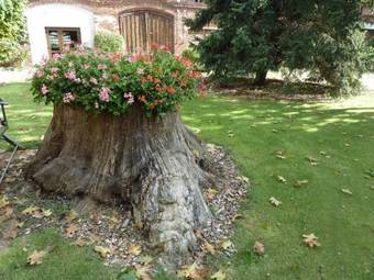 Hostal G�stehaus Am Schlo�park